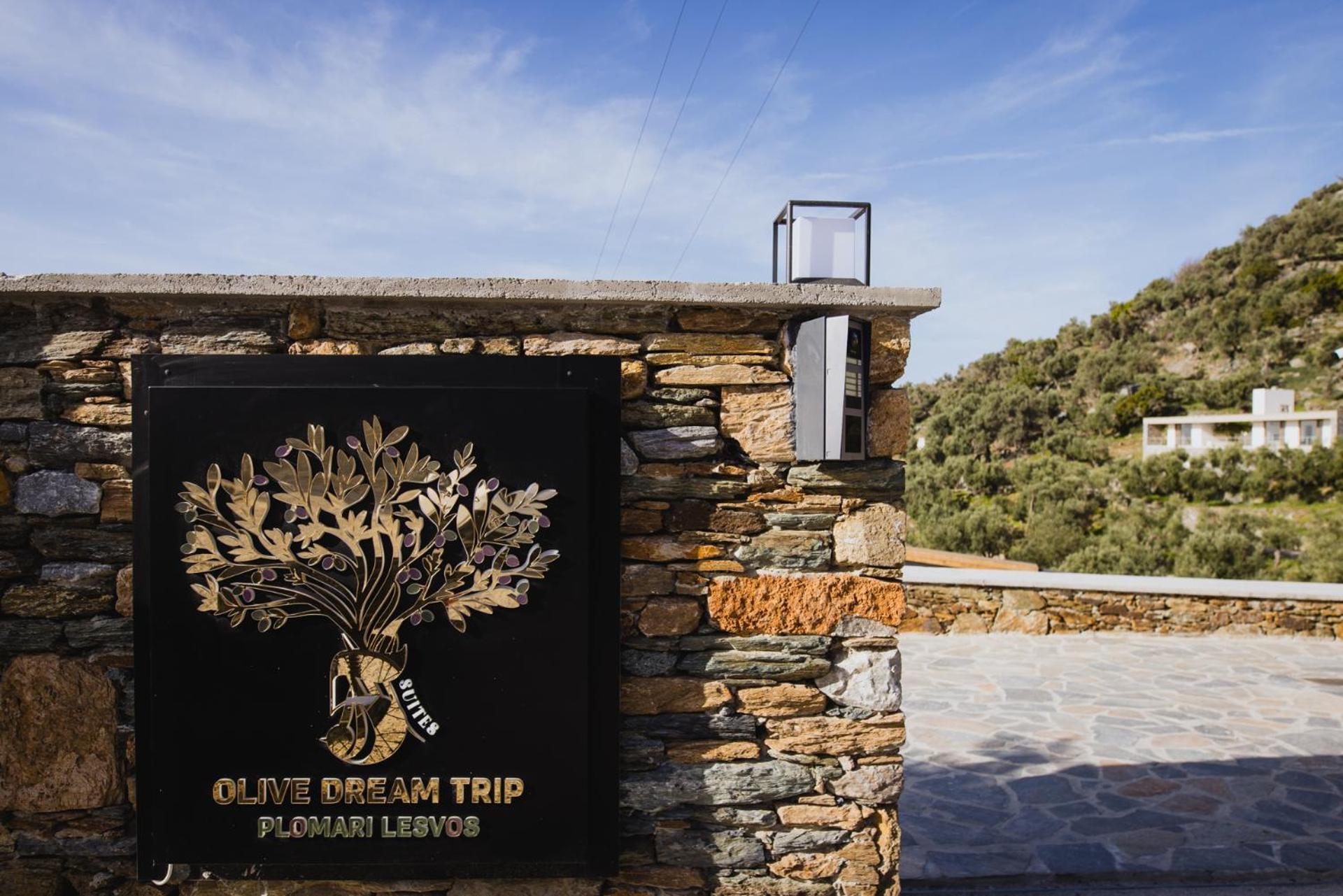 Вилла Five Olive Dream Trip Пломарион Экстерьер фото